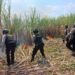 Kebakaran Lahan Tebu, Kapolres Kudus Kerahkan Personil Untuk Padamkan Api