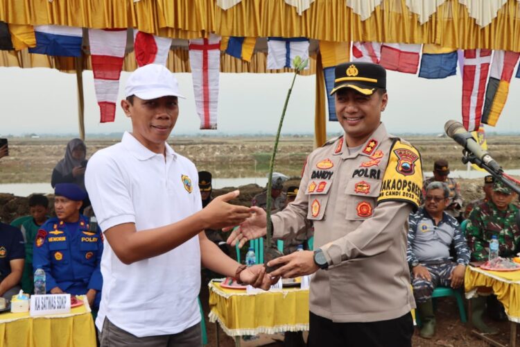 Penanaman Mangrove di Pantai Bulumanis Kidul 