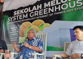 14 Greenhouse Tempat Budidaya Melon