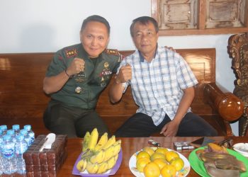 Solidaritas di Utamakan !! Dandim 0718/ Pati dan Kades Tegalharjo Bahas Keamanan Wilayah