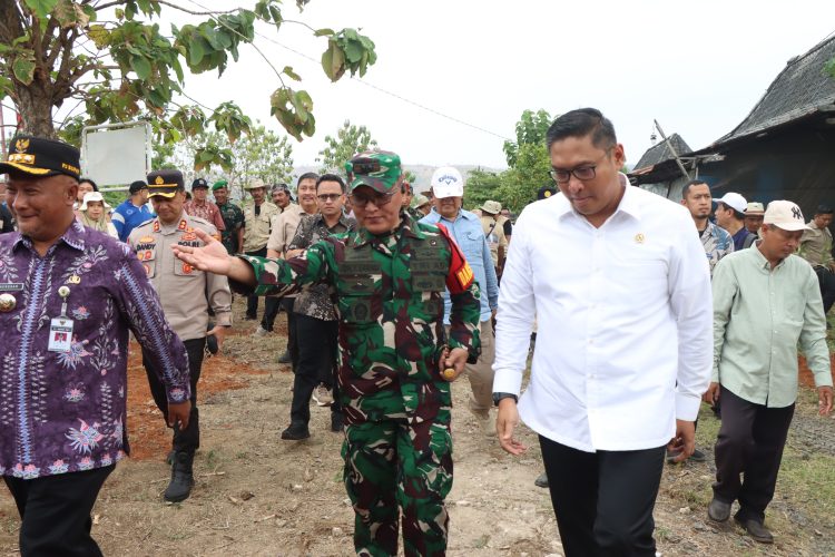 Wamentan RI Turun Pati, Berikut Lokasi di Cek