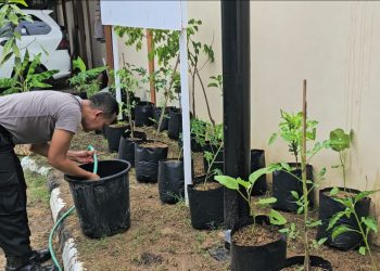 Polresta Pati Wujudkan Ketahanan Pangan dengan Aksi Tanam 50 Pohon