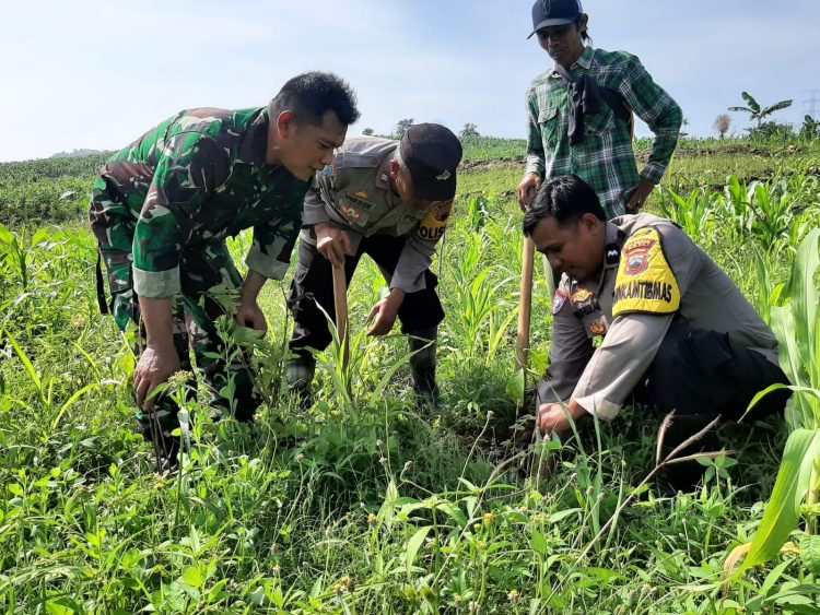 Kelestarian Alam di Gencarkan, Kini Kodim 0718/Pati Utamakan Kesejahteraan Rakyat