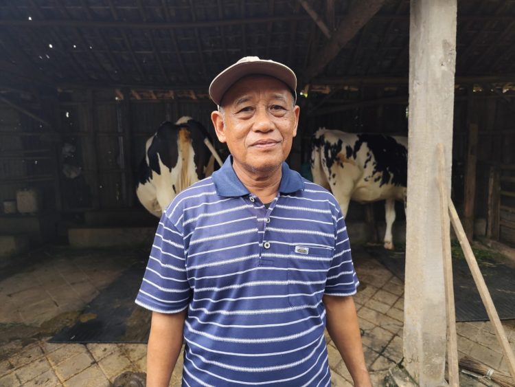 Dinas Pertanian Pati Prioritaskan Vaksinasi ke Sapi Perah Rentan PMK