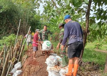 Koramil Tambakromo dan Warga Gotong Royong Perbaiki Tanggul
