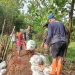 Koramil Tambakromo dan Warga Gotong Royong Perbaiki Tanggul