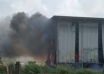 Kobaran Api di PG Pakis Pati, Damkar Berhasil Jinakkan Api