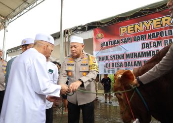 Bentuk Solidaritas, Kapolda Kalsel Serahkan Lima Ekor Sapi