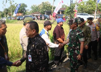 Dandim Pati Tingkatkan Produksi Padi Secara Berkelanjutan
