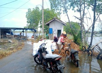 Mangrove Hancur, Warga Tunggulsari Minta Solusi Nyata