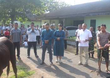 TNI dan Rakyat Bersatu di Momen Kurban, Dandim Pati : Ini Bukti