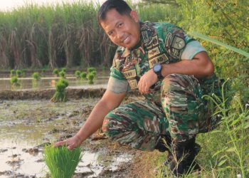 Inovasi Mikroba Hayati, Petani Sukoharjo Pati Raih Dukungan Kodim 0718