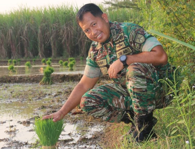 Inovasi Mikroba Hayati, Petani Sukoharjo Pati Raih Dukungan Kodim 0718