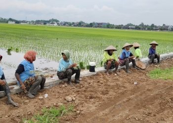 Kritik Viral Soal Proyek Talud, Pemdes Dengkek Bergerak Cepat Perbaiki Kualitas Pekerjaan