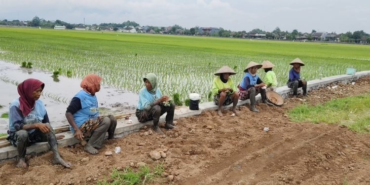 Kritik Viral Soal Proyek Talud, Pemdes Dengkek Bergerak Cepat Perbaiki Kualitas Pekerjaan