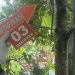 Warga Heboh, Pria 31 Tahun Ditemukan Tewas Tergantung