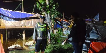 4 Kandang Ayam Roboh, Kerugian Tembus Rp 6,8 Miliar