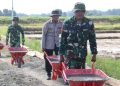Betonisasi Jalan Pertanian di Godo Dikerjakan Bareng TNI – Polri dan Warga