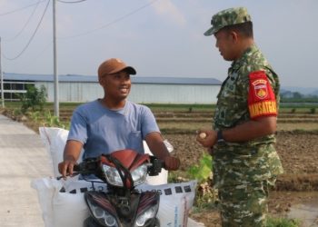 Distribusi Hasil Panen Desa Godo Diprediksi Meningkat