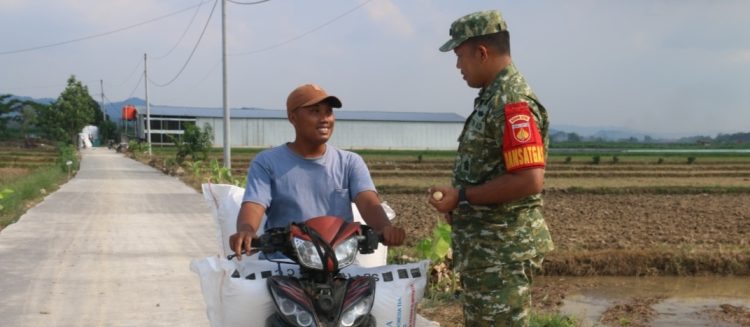 Distribusi Hasil Panen Desa Godo Diprediksi Meningkat